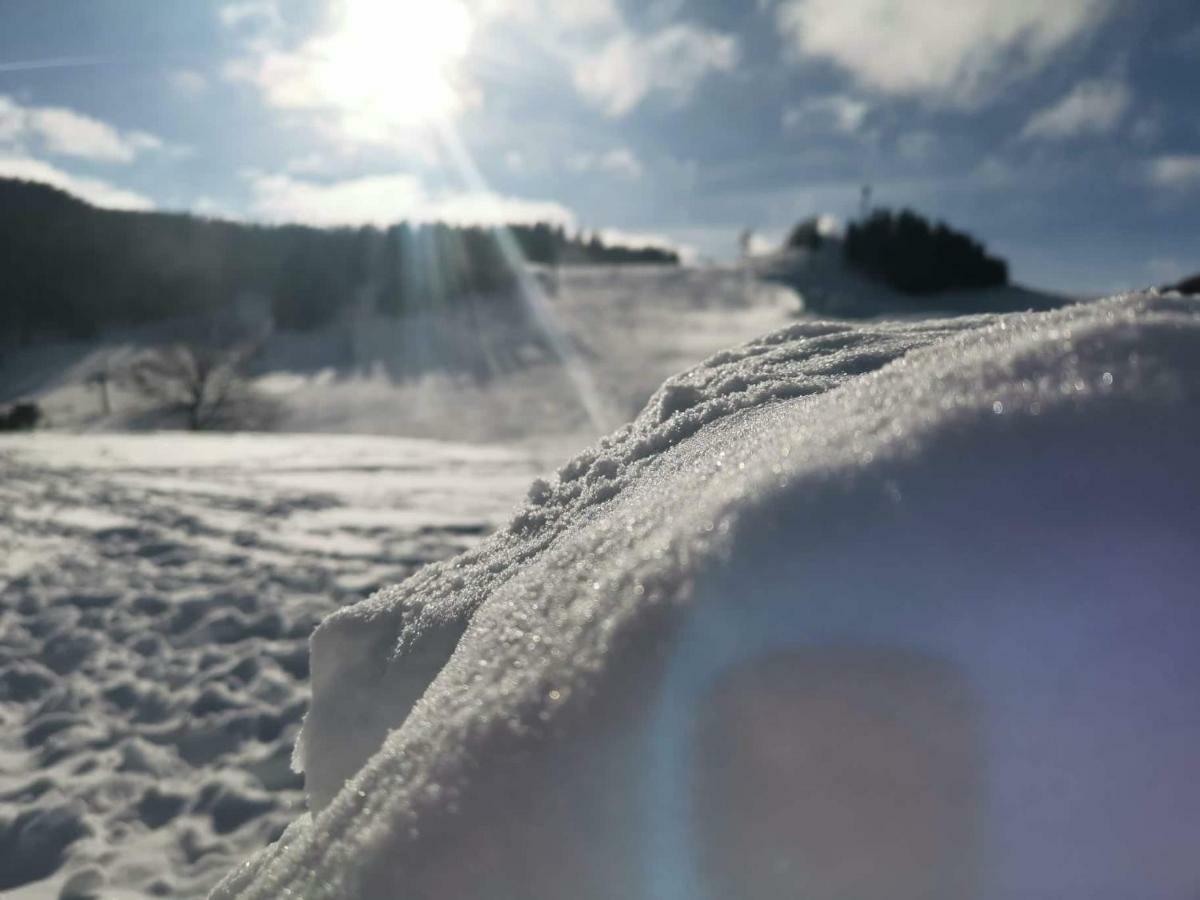 Apartman Plesnivec Donovaly Exteriör bild